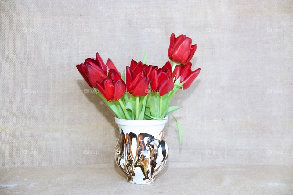 Red tulips 