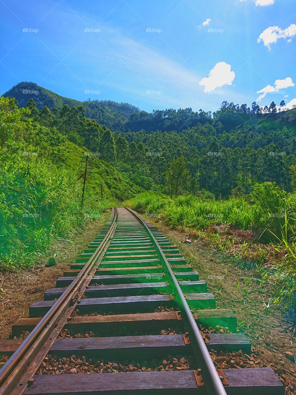 how much do you like this photo