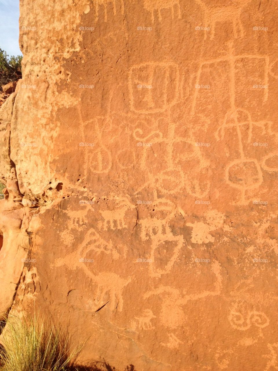 Petroglyphs 