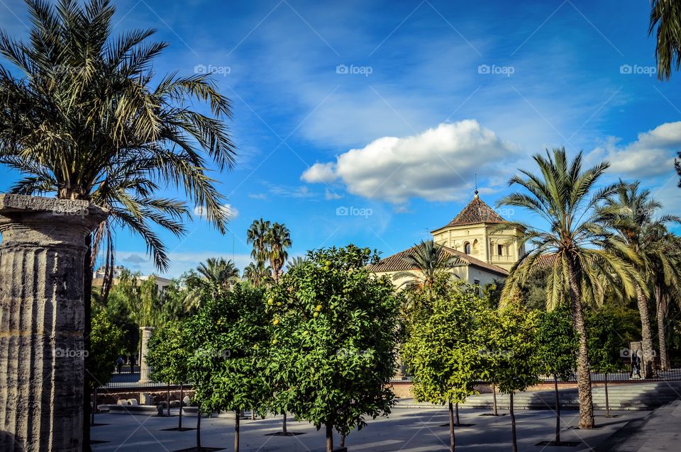 Biblioteca Publica de Valencia, Valencia, Spain