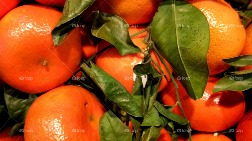 citrus fruits with leaves