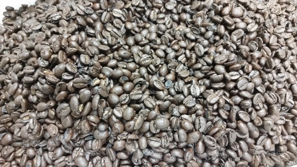 glorious coffee beans