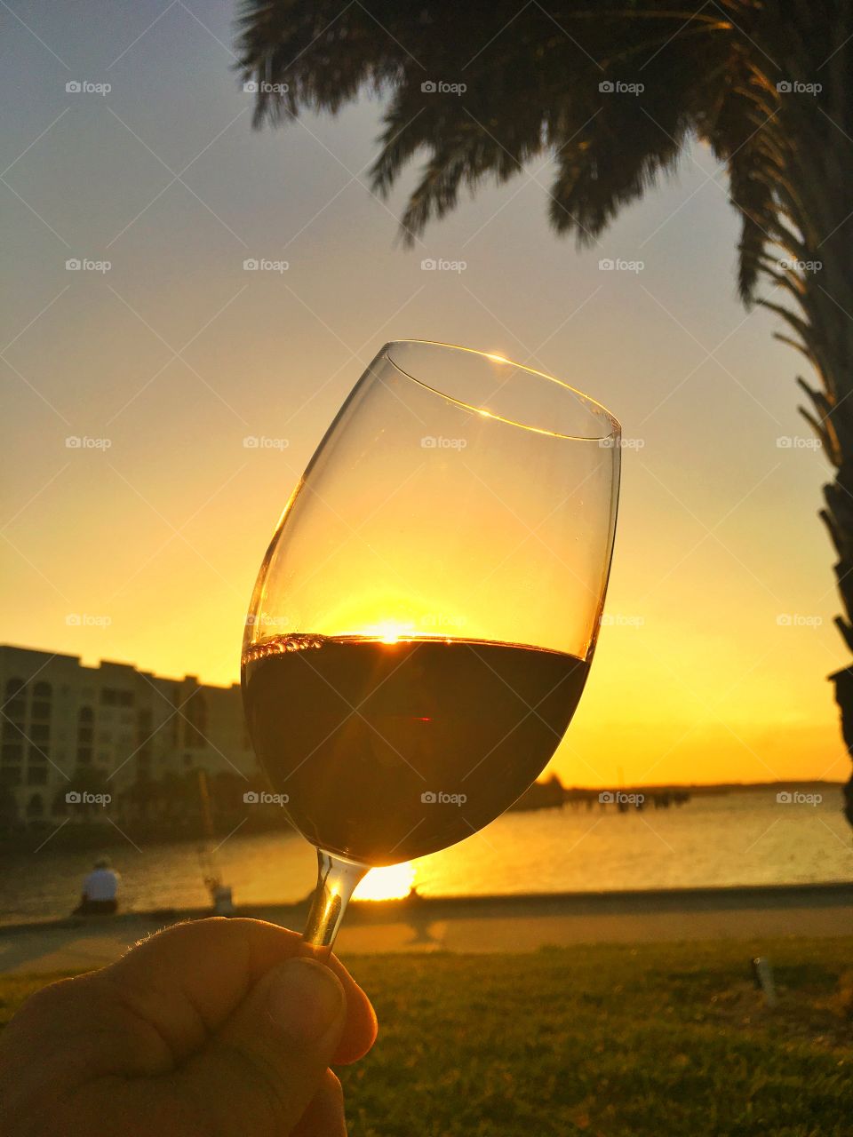 Wine, Drink, Glass, Sunset, Alcohol