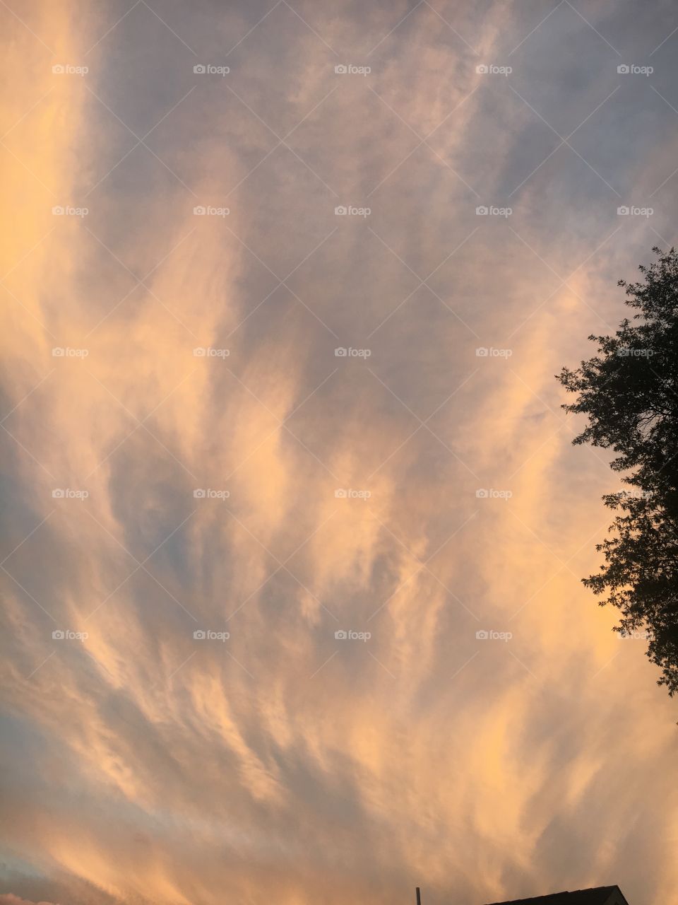beautiful clouds in the sunset