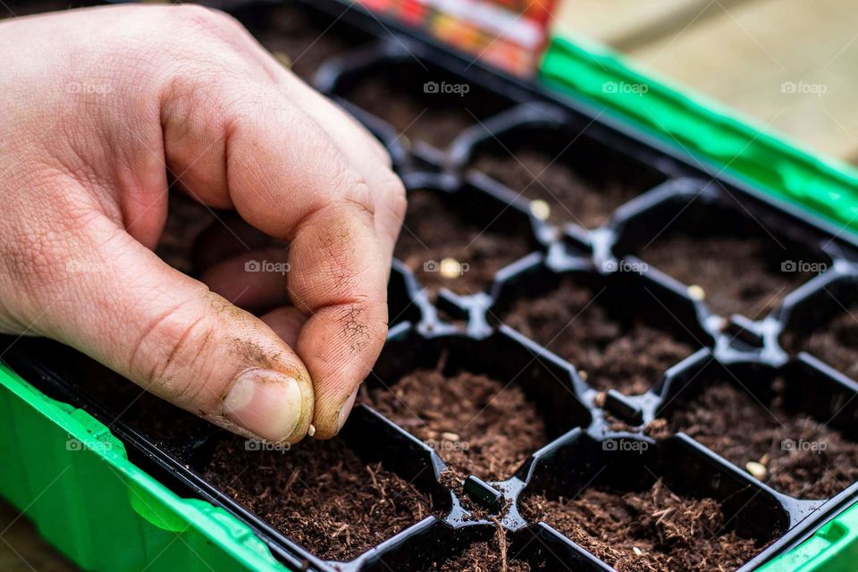 Farmer planting seeds.