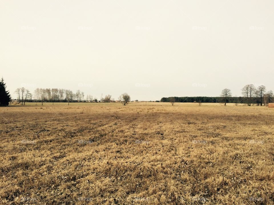 Field. Somewhere in Poland. 