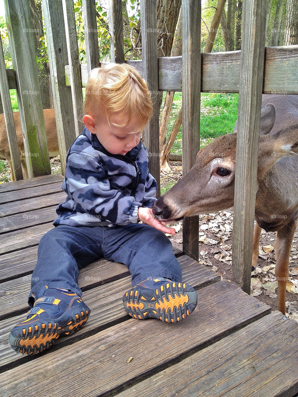 people nature face baby by somebeach