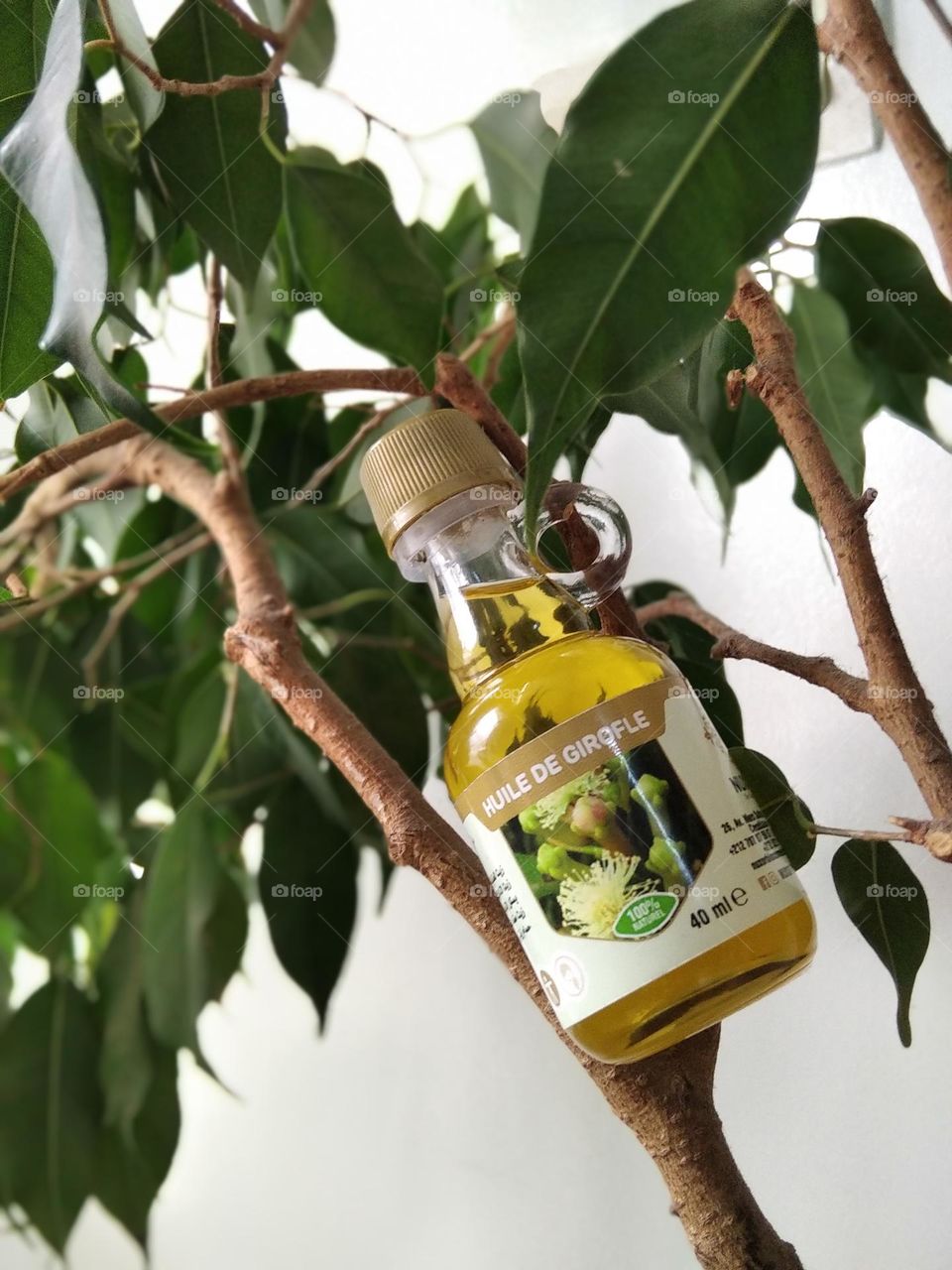 clove oil bottle