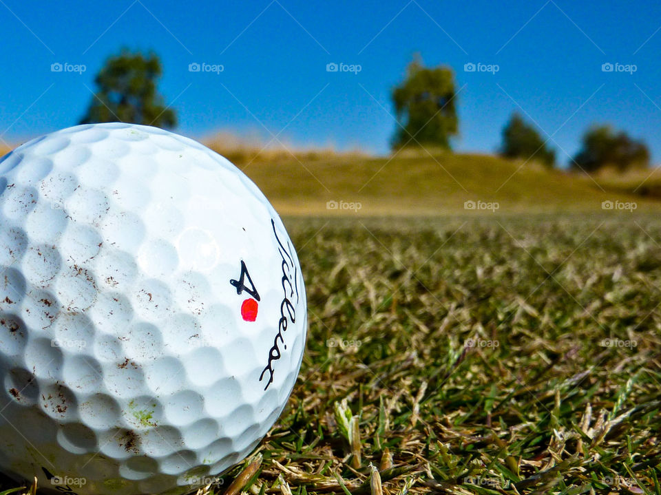 Golf ball Arizona