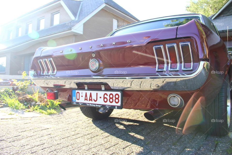 A portrait of the back of a red oldtimer vintage ford mustang american mustle car.