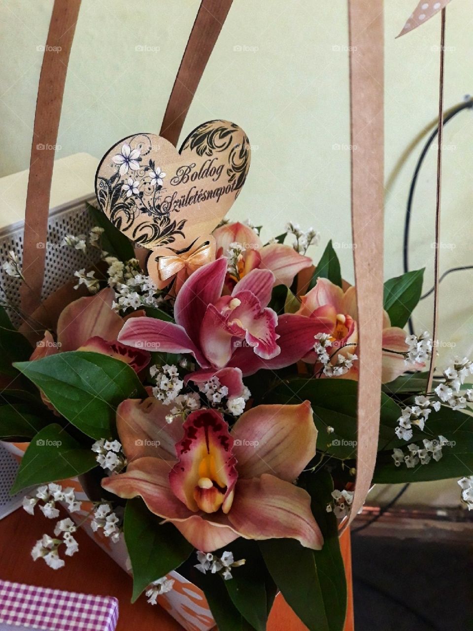 The eye-catching orchids