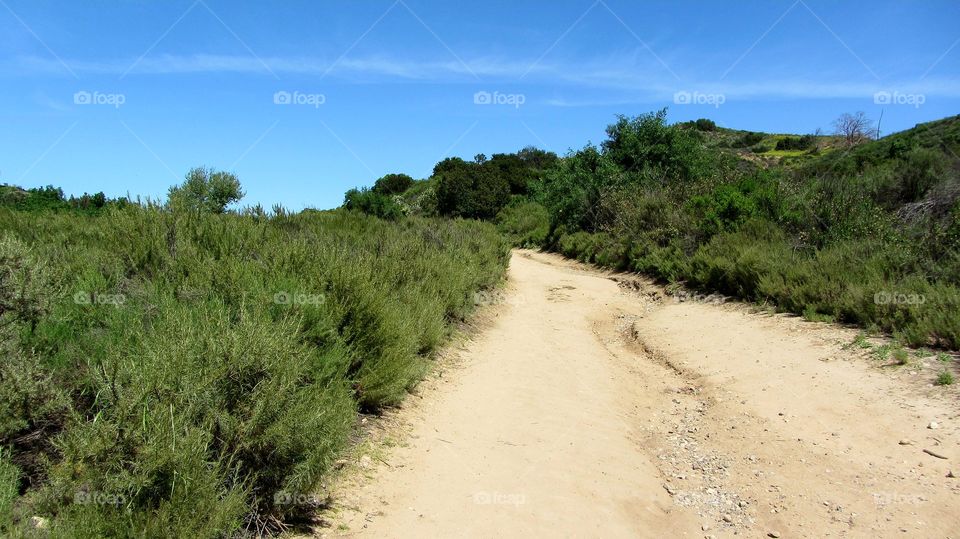 Hiking trails