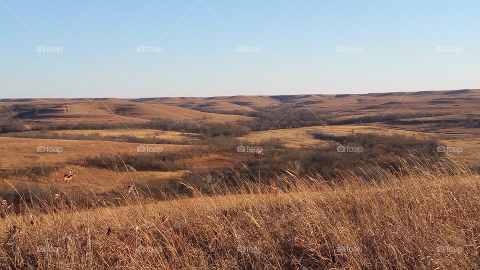 Dry grass on hill