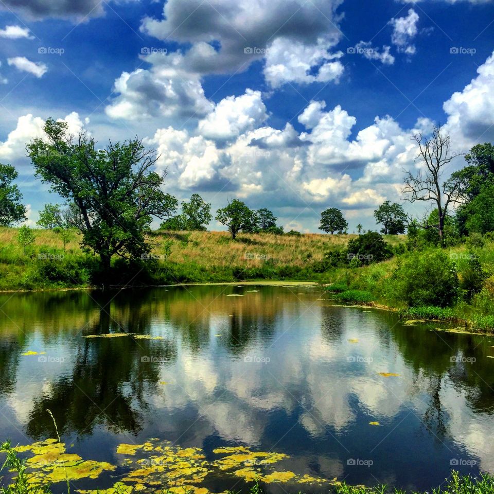 Nature walk