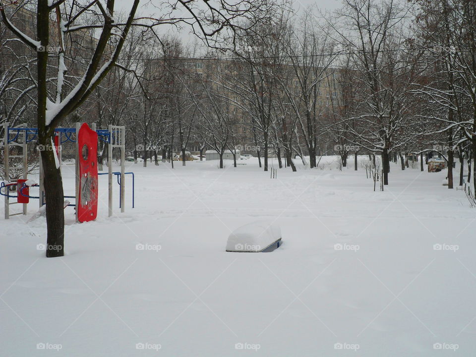 winter landscape in the city of Kiev