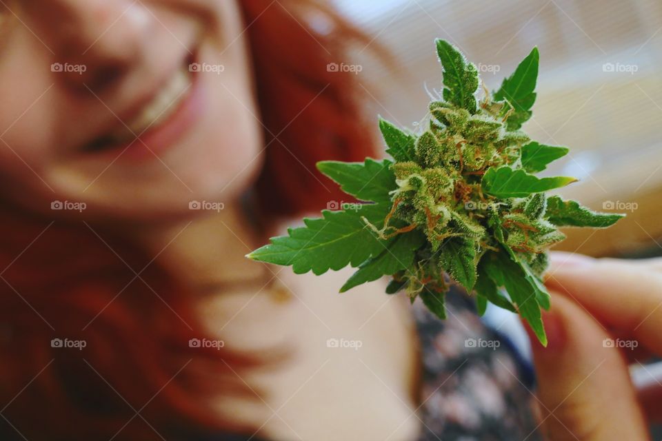 close up shot of cannabis bud