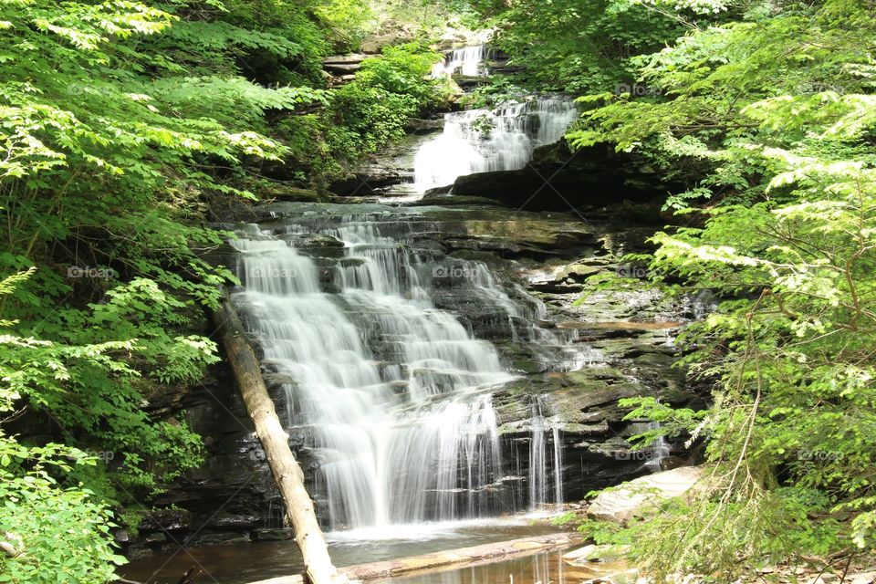 Summer waterfall Ricketts Glen State Park 