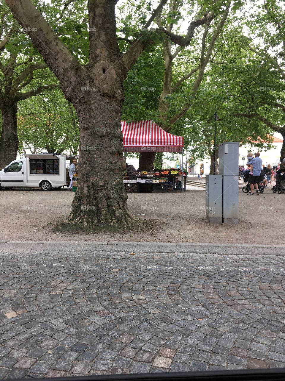 Just usual day in town 