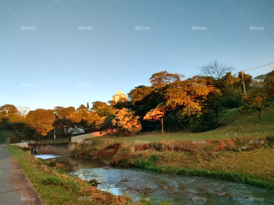 dawn landscape