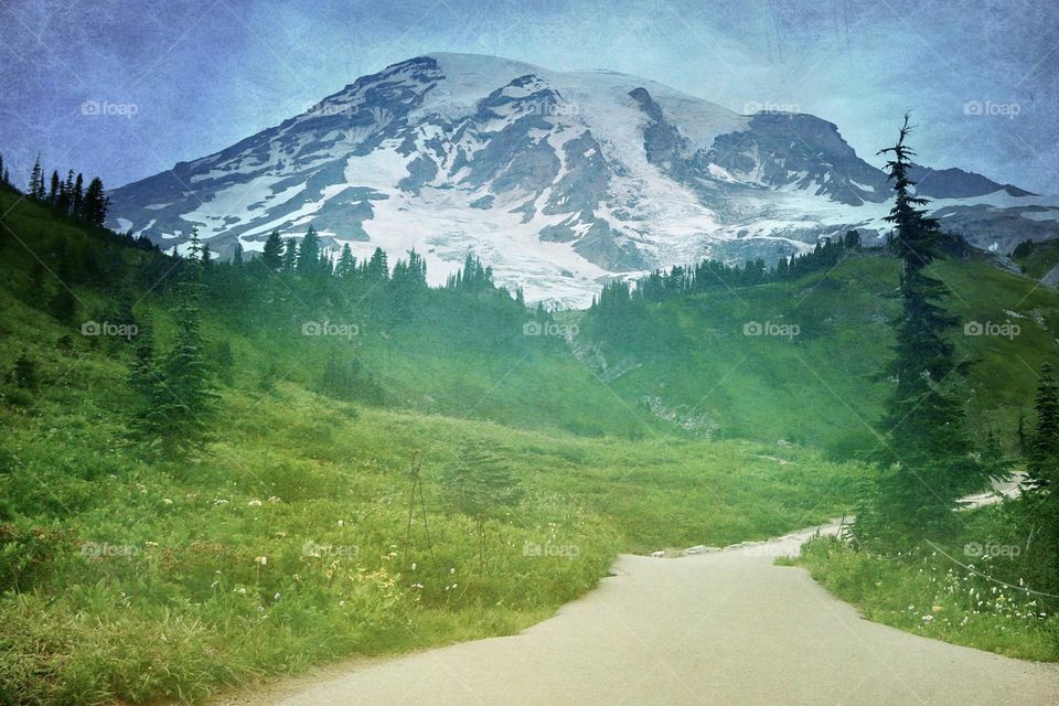 Path to Mount Rainier in vintage style photo, colorful and inviting to hikers