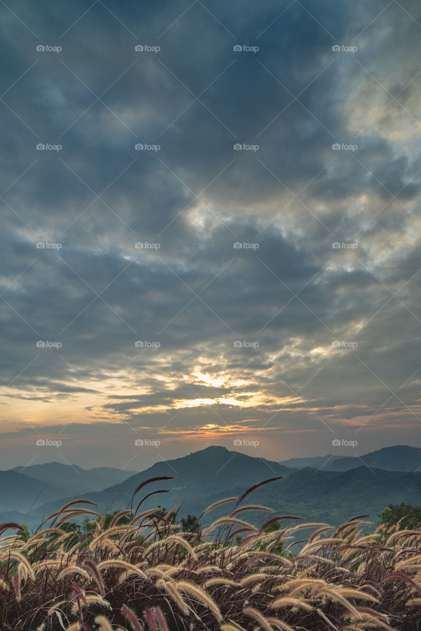 Beautiful sunrise scene above mountain and grass field scape