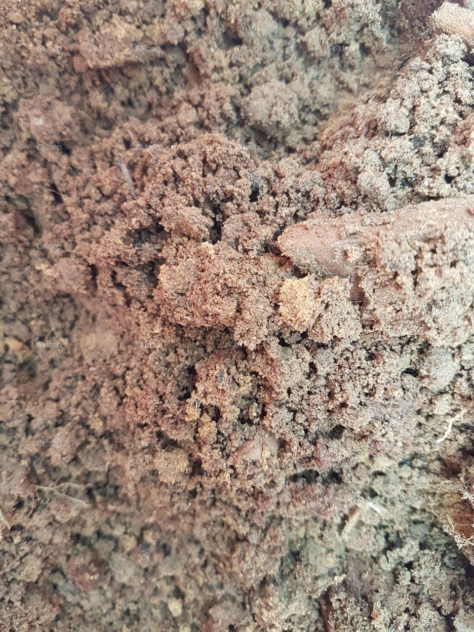 sand texture