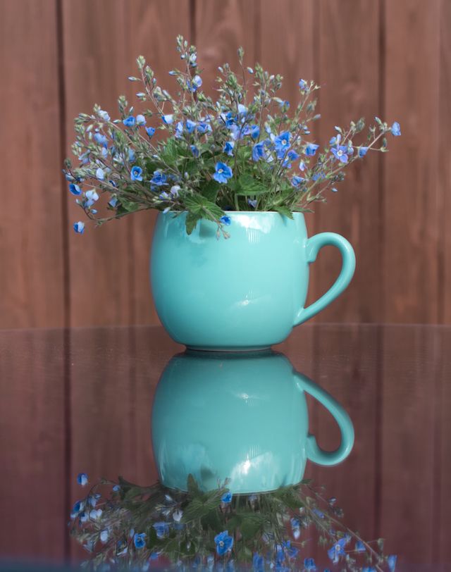 Blue flowers in a turquoise cup