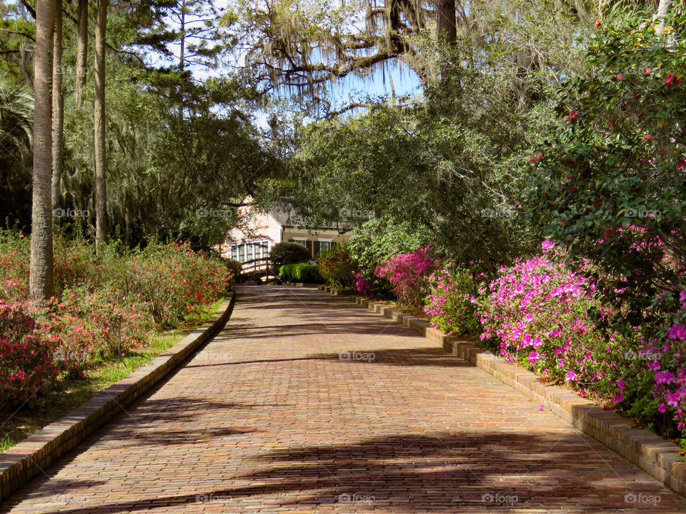 Maclay Gardens