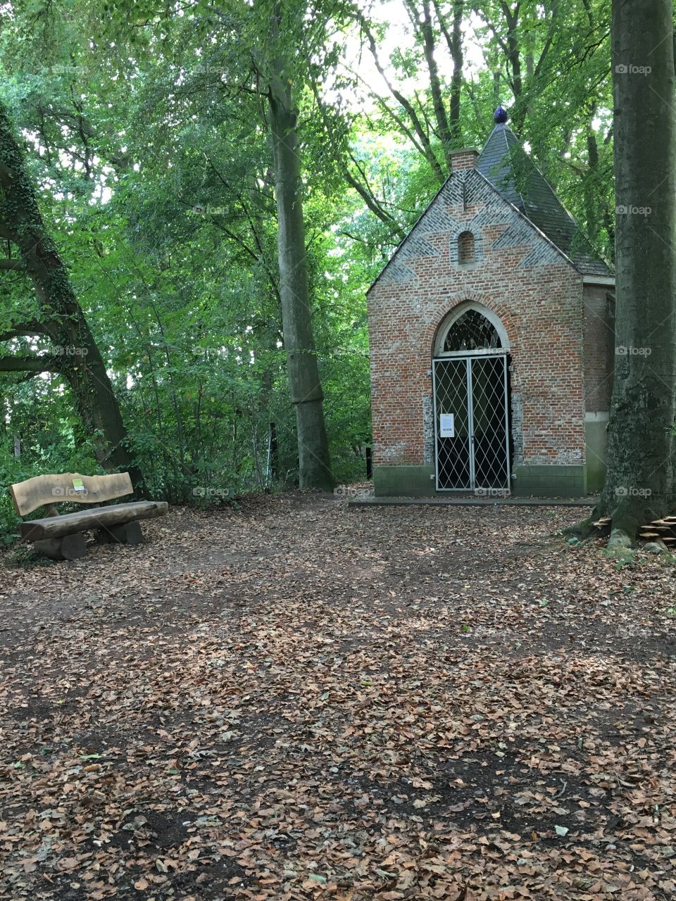 Abandoned chapel in a forest