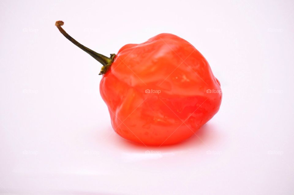 Scotch bonnet pepper
