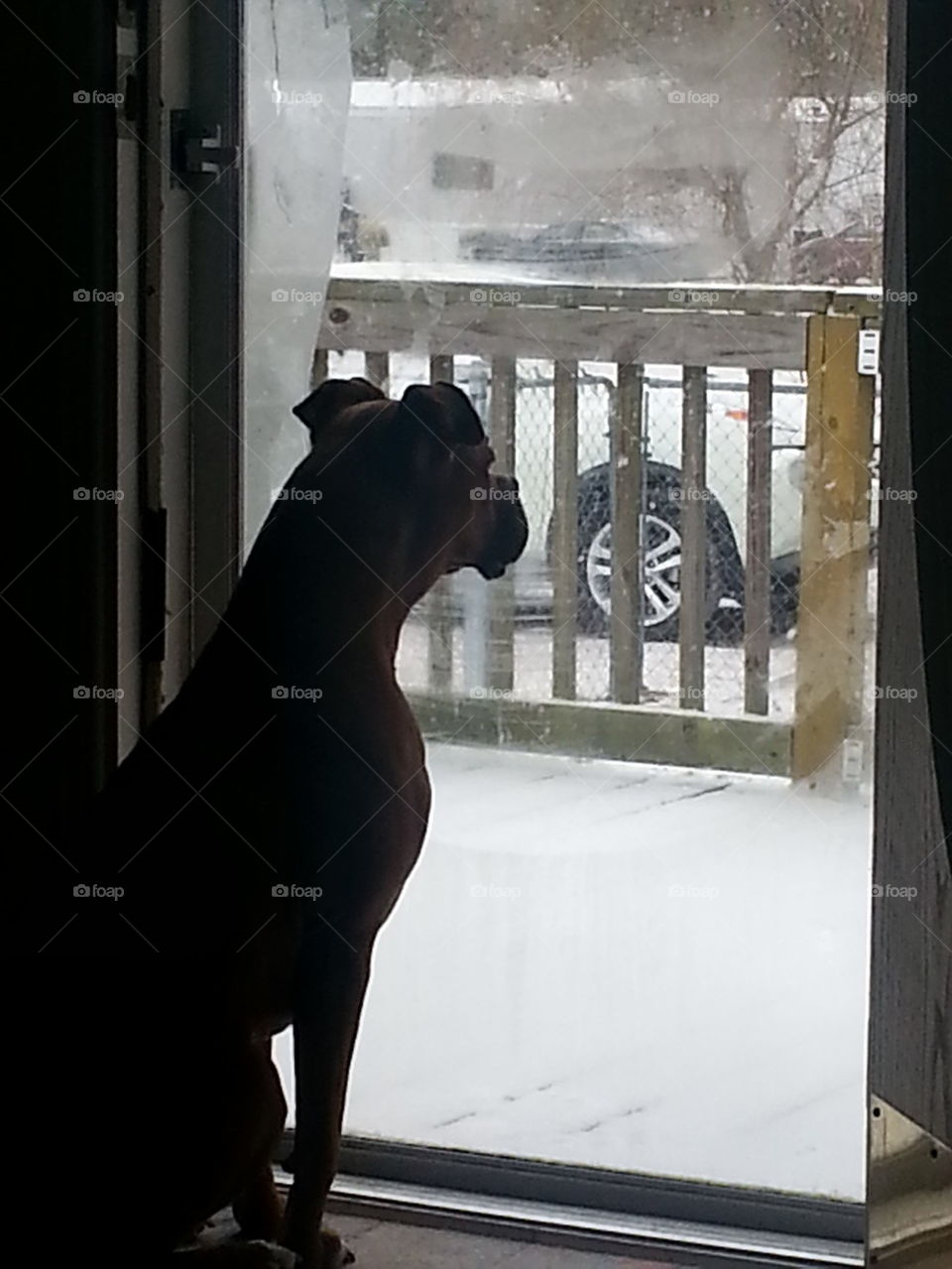 watching the snow