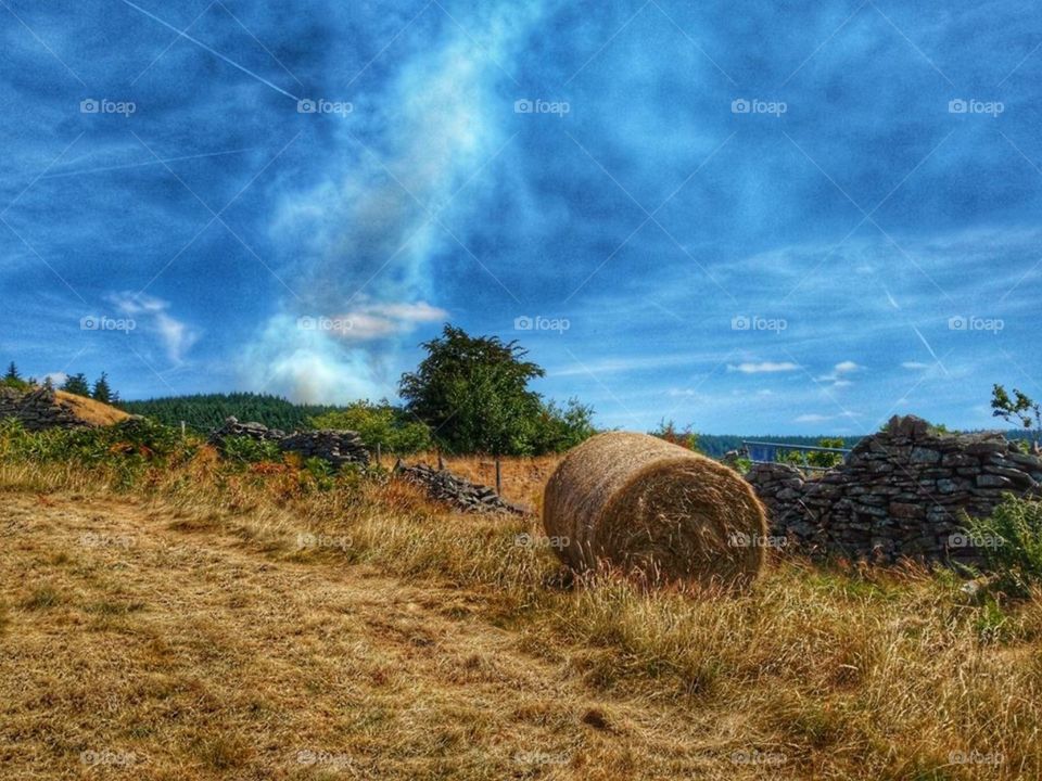 Bale of hay, Cwmbach, Aberdare, South Wales (July 2018)