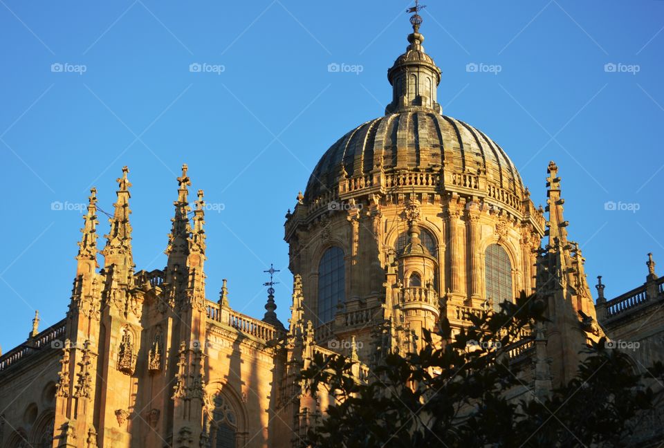 Cupola of Salamanca cathedral in the evening light.