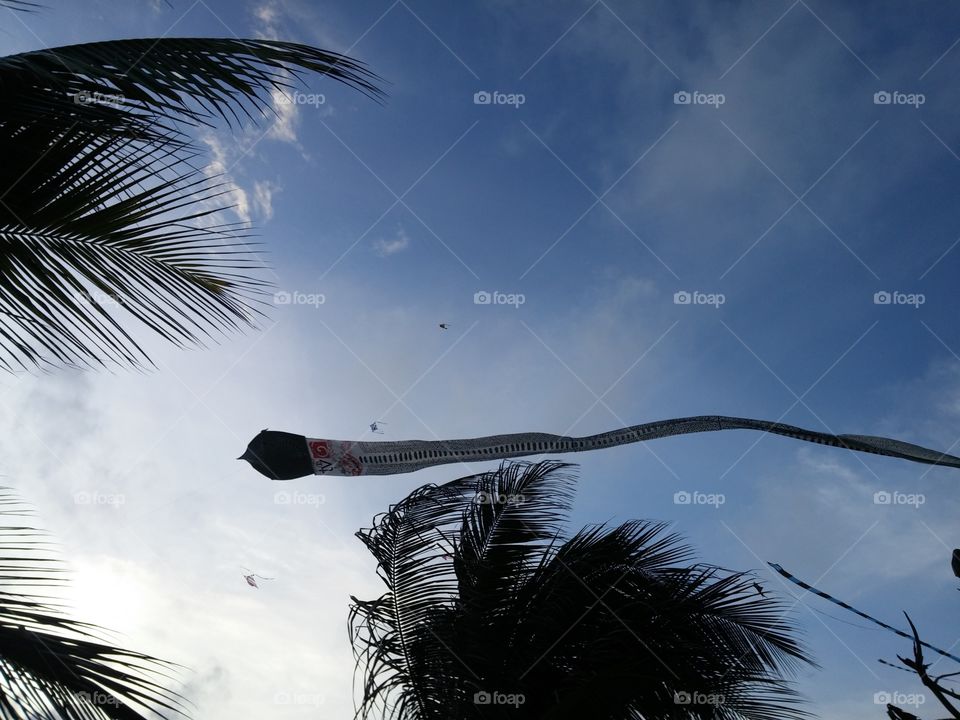 kite flying in Colombo galle Road