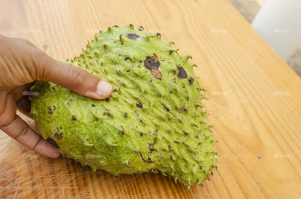 Holding Soursop