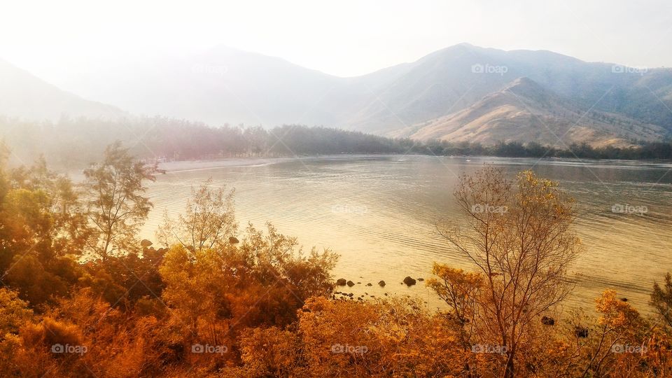 Afternoon Delight with Nature