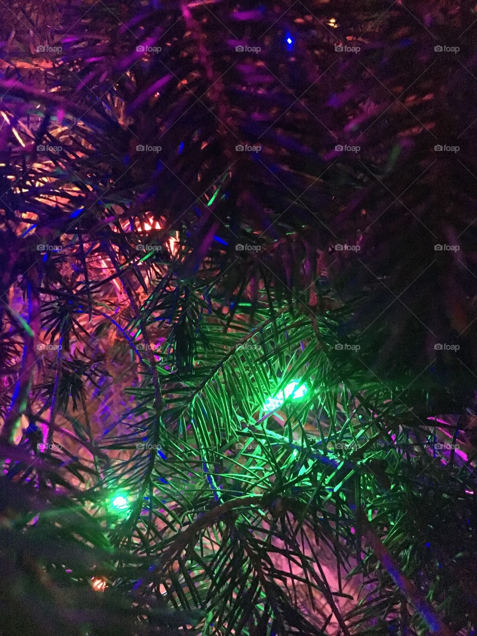 Christmas tree light close up