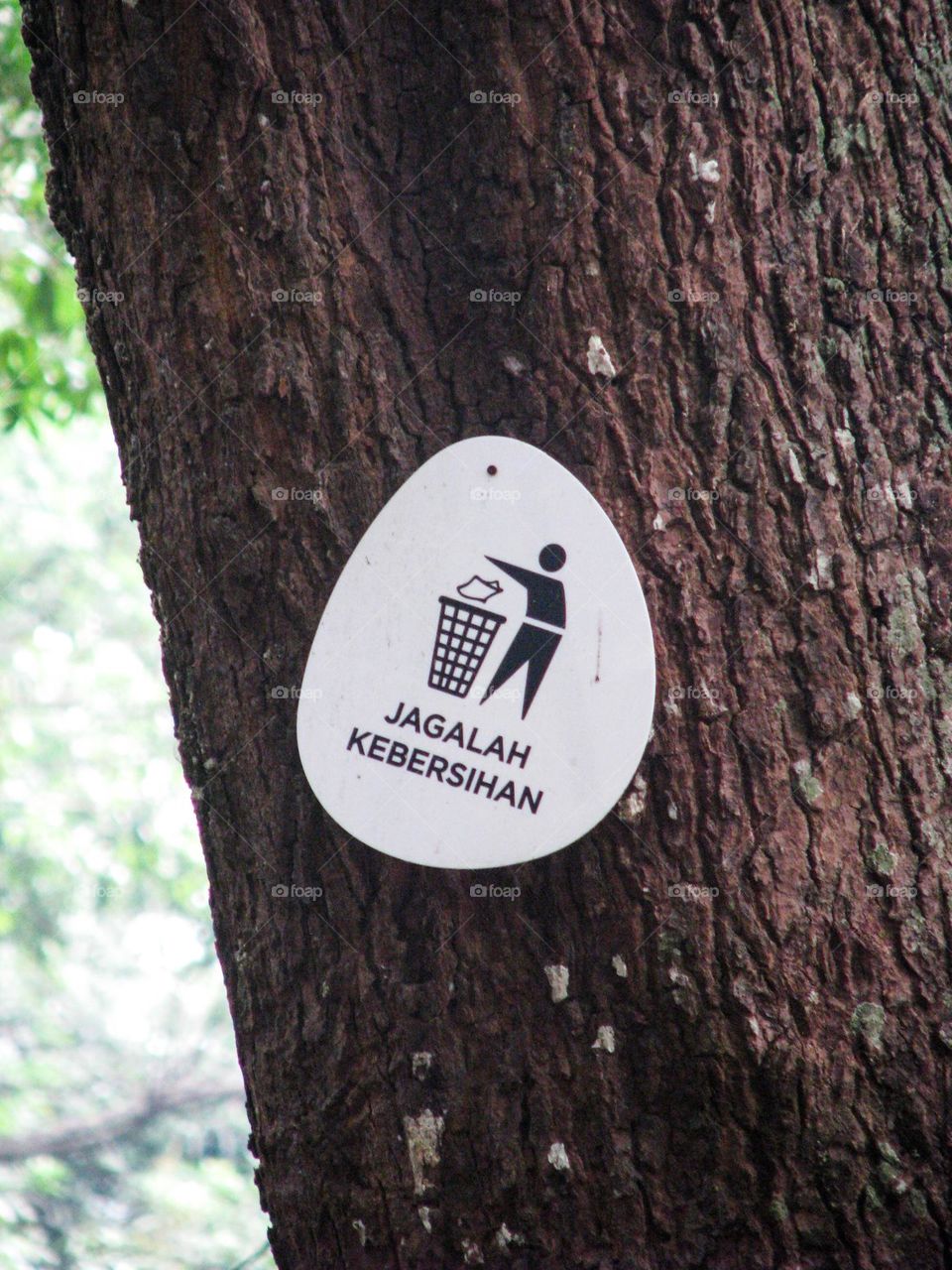 a closeup shot of a tree sign on the tree