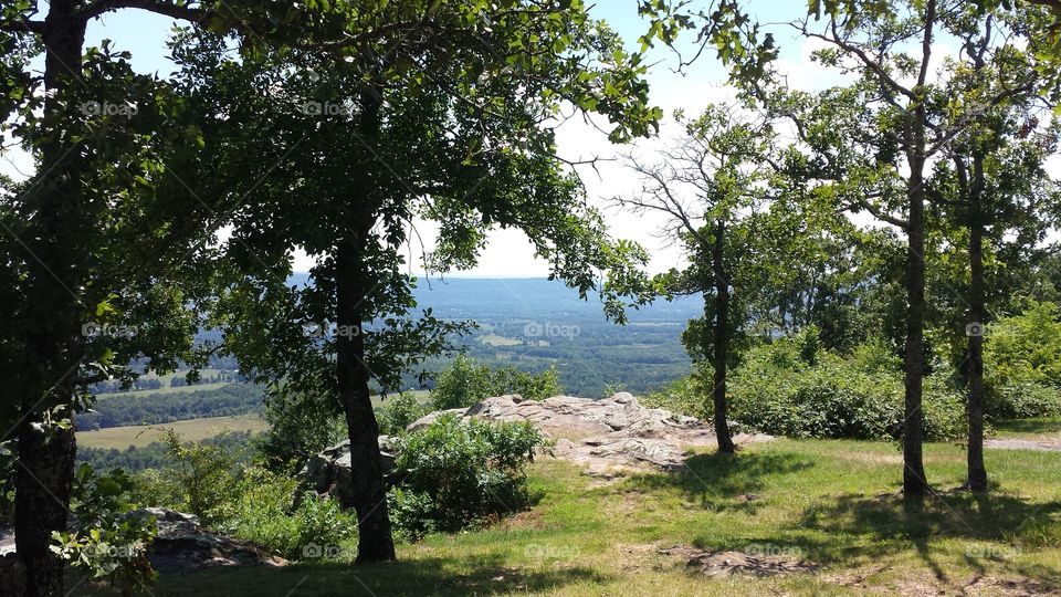 Landscape, Tree, Nature, Wood, No Person