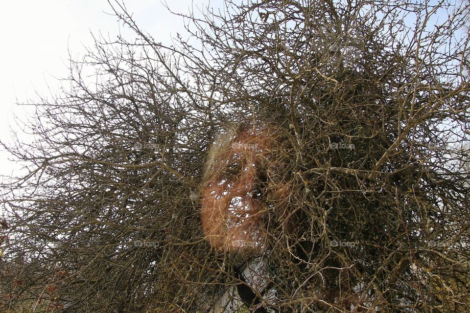 Woman with closed eye sitting in sun at window