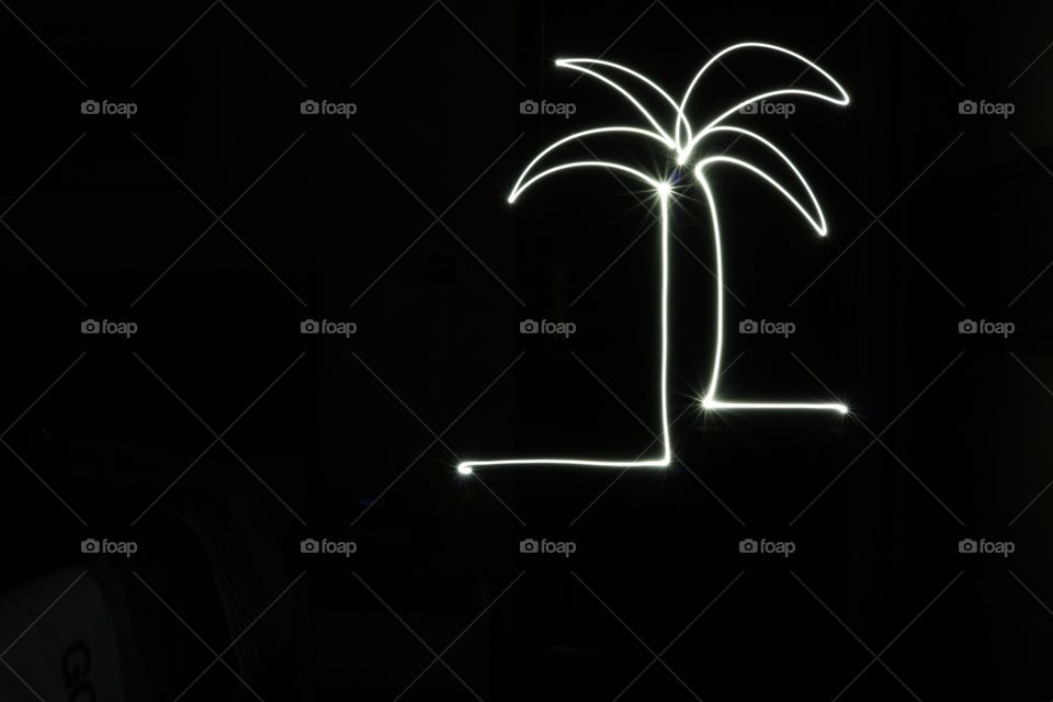 Palm tree :)