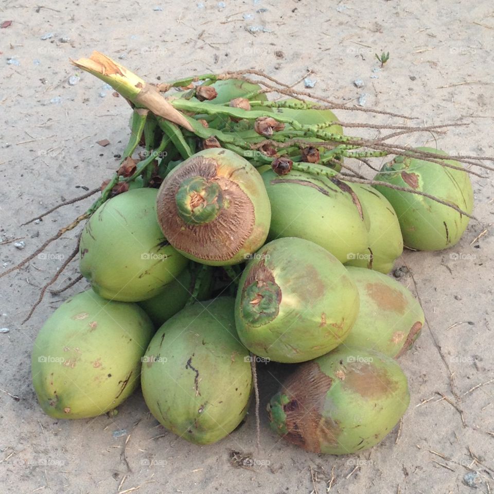 Coconuts. Brazilian coconut 