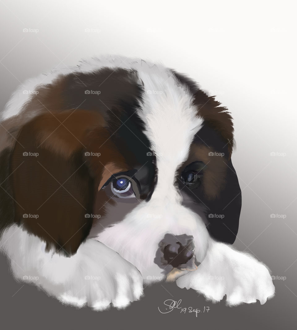 Saint puppy drawing