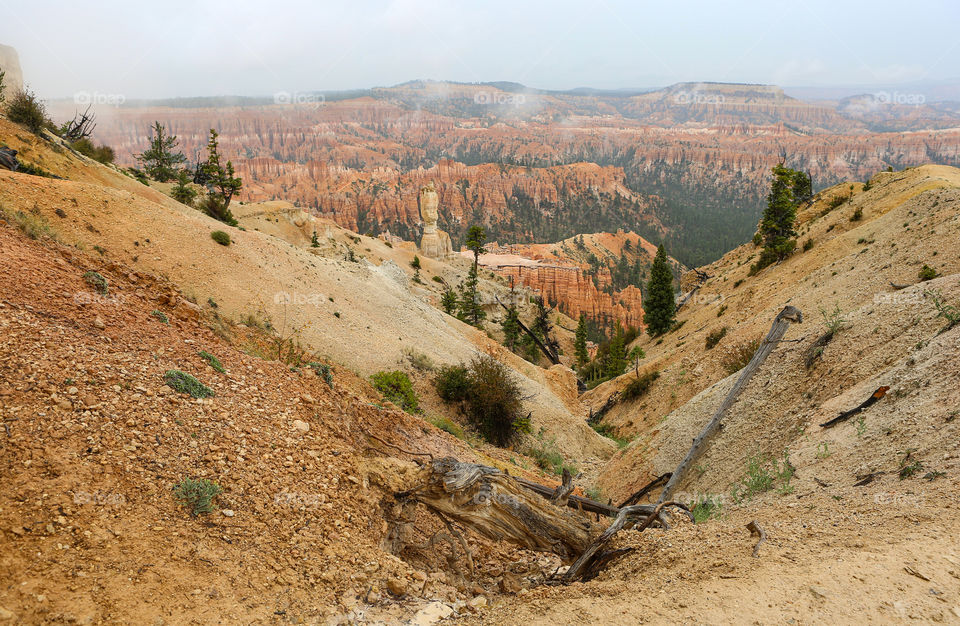 Cloudy Bryce Canyon 