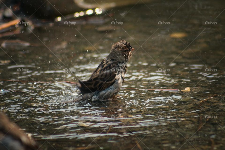 Water procedures