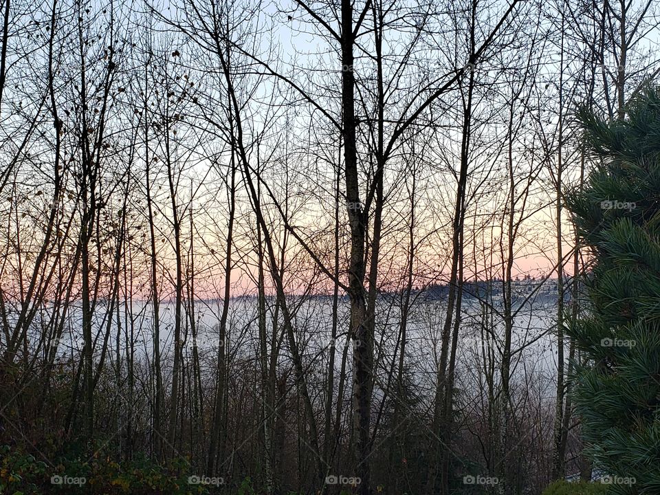 I just won 10 bucks ahaha