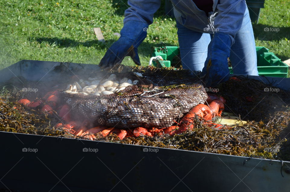 A Maine Barbecue 
