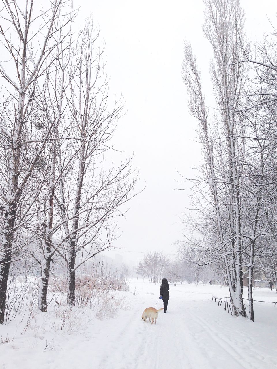 Young woman walking with a dog under the falling snow in winter 
