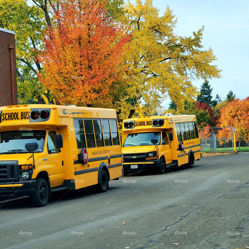 way to school learning education bus ride students