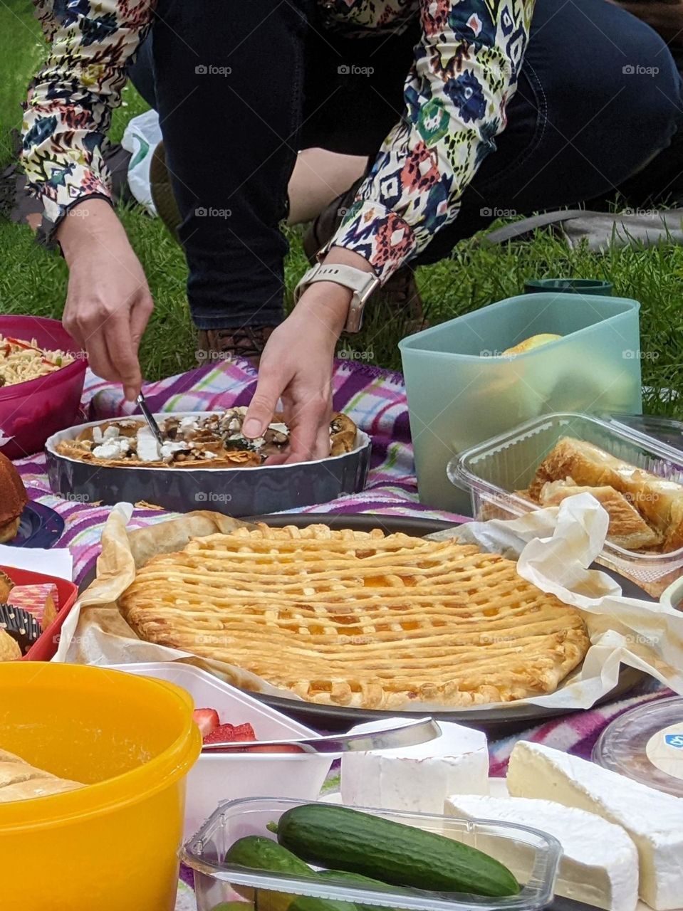 picknick in the park with apple pie